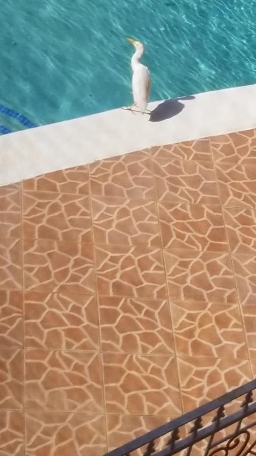 Chaudhry Holiday House Montego Bay Kültér fotó